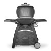 Газовый гриль Weber Q 3200 с подставкой - 57010047 фото_1 